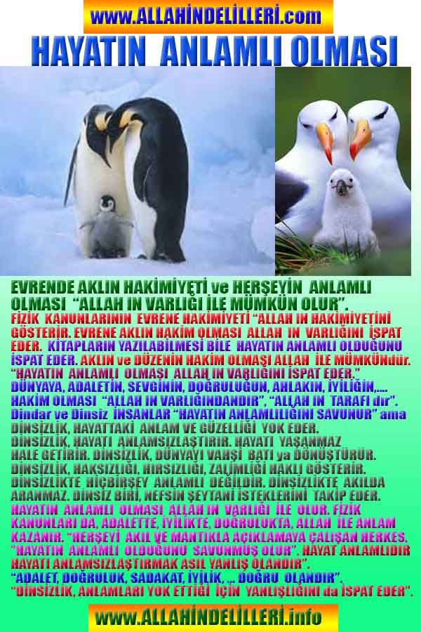 ALLAH ın delilleri,ALLAH, #ALLAH, allah-delilleri, allahin-delilleri, allahin delilleri, allah in varlığının delilleri,