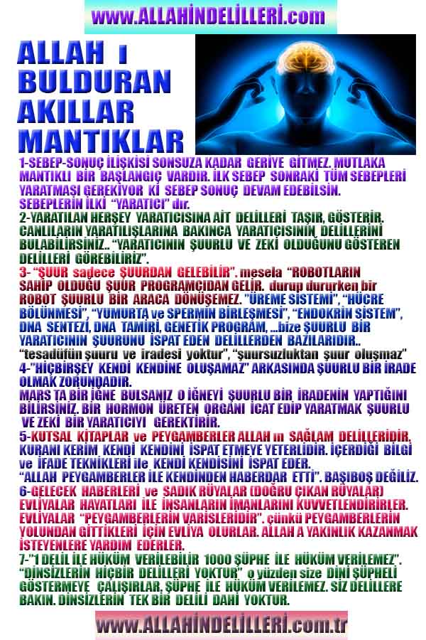 ALLAH ın delilleri,ALLAH, #ALLAH, allah-delilleri, allahin-delilleri, allahin delilleri, allah in varlığının delilleri,