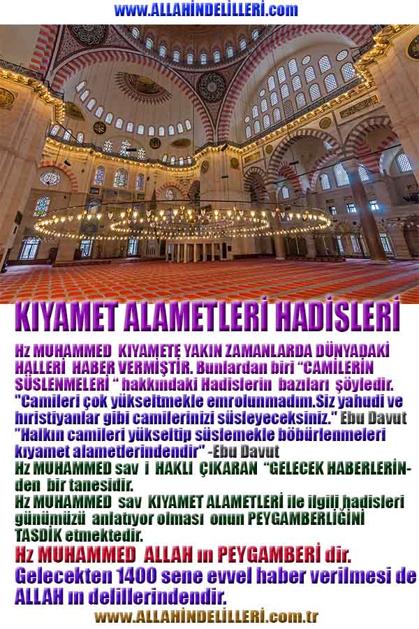 ALLAH ın delilleri,ALLAH, #ALLAH, allah-delilleri, allahin-delilleri, allahin delilleri, allah in varlığının delilleri,