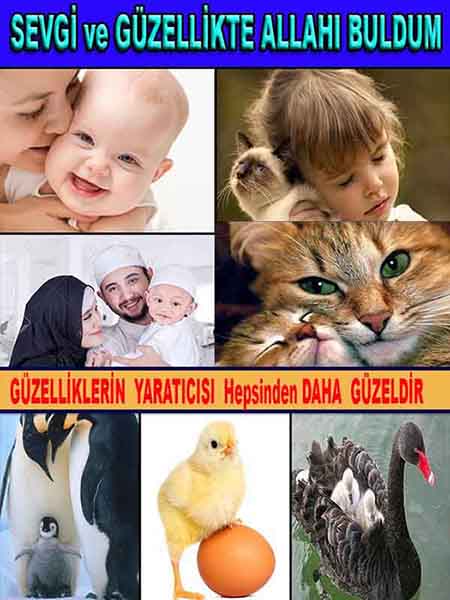 ALLAH ın delilleri,ALLAH, #ALLAH, allah-delilleri, allahin-delilleri, allahin delilleri, allah in varlığının delilleri,