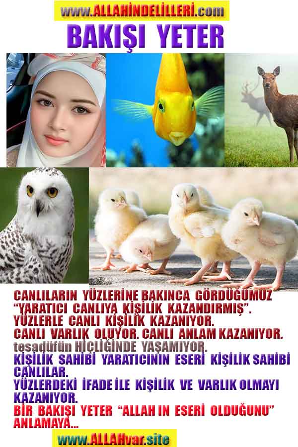 ALLAH ın delilleri,ALLAH, #ALLAH, allah-delilleri, allahin-delilleri, allahin delilleri, allah in varlığının delilleri,