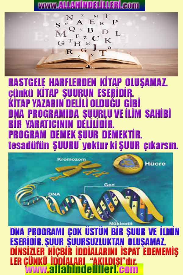 ALLAH ın delilleri,ALLAH, #ALLAH, allah-delilleri, allahin-delilleri, allahin delilleri, allah in varlığının delilleri,