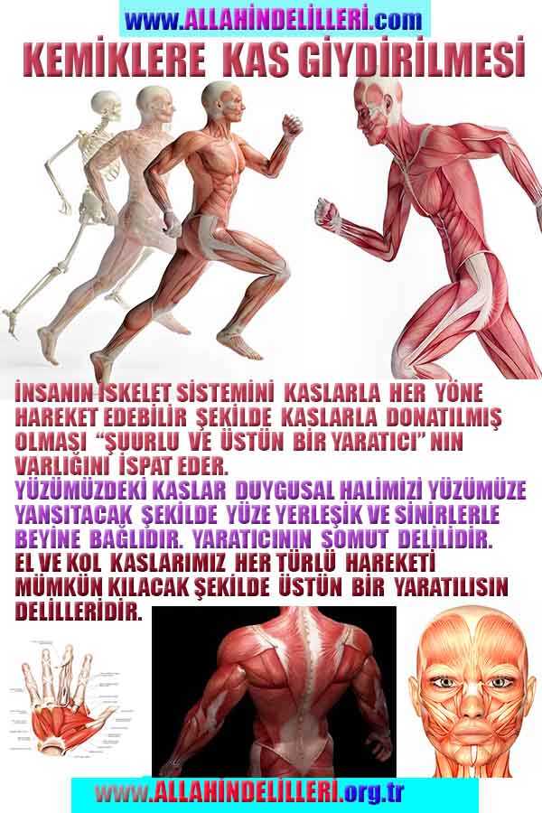 ALLAH ın delilleri,ALLAH, #ALLAH, allah-delilleri, allahin-delilleri, allahin delilleri, allah in varlığının delilleri,