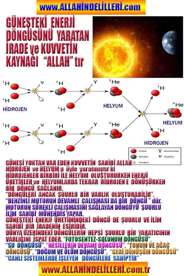 ALLAH ın delilleri,ALLAH, #ALLAH, allah-delilleri, allahin-delilleri, allahin delilleri, allah in varlığının delilleri,