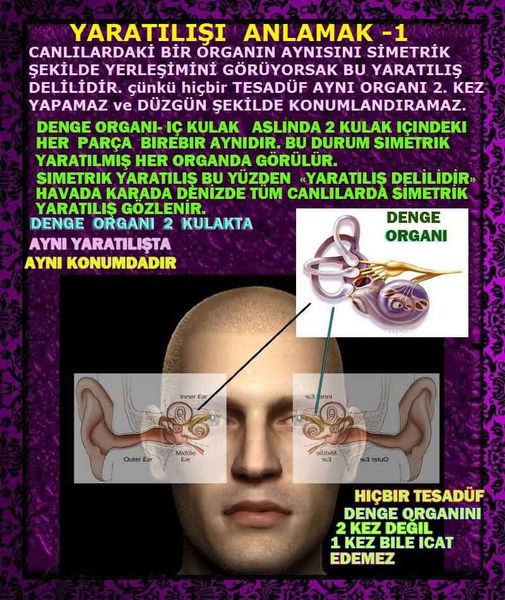 ALLAH ın delilleri,ALLAH, #ALLAH, allah-delilleri, allahin-delilleri, allahin delilleri, allah in varlığının delilleri,