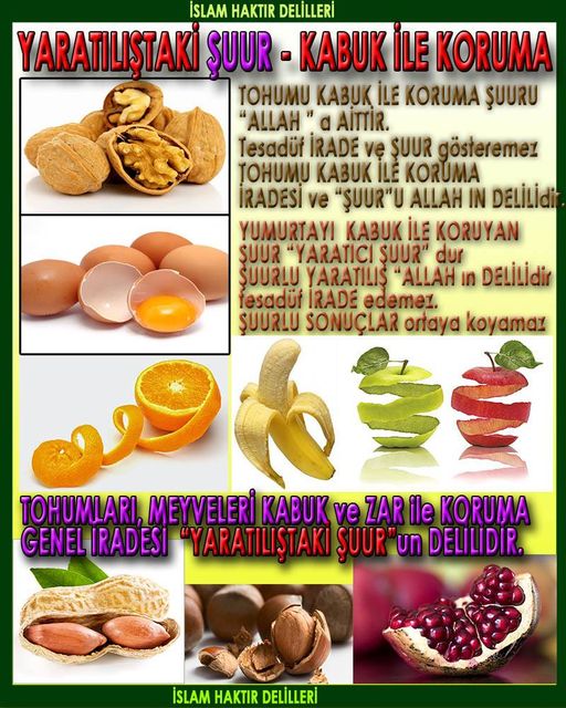 ALLAH ın delilleri,ALLAH, #ALLAH, allah-delilleri, allahin-delilleri, allahin delilleri, allah in varlığının delilleri,